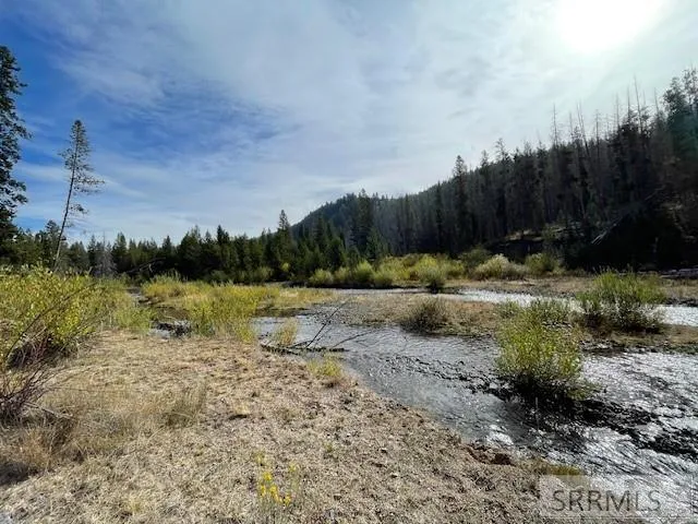 $269,000 | Tbd Tbd Napias Creek Road, Shoup, ID 83469
