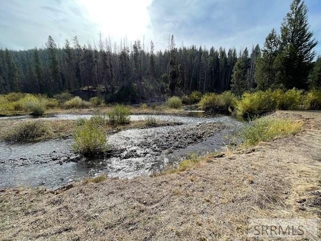 Tbd Tbd Napias Creek Road Shoup, ID 83469 - Photo 18 of 28