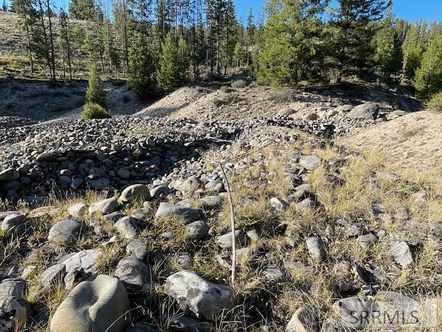 Tbd Tbd Napias Creek Road Shoup, ID 83469 - Photo 19 of 28