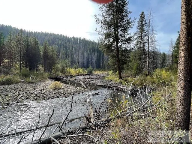 $269,000 | Tbd Tbd Napias Creek Road, Shoup, ID 83469