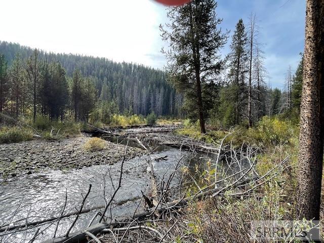 Tbd Tbd Napias Creek Road Shoup, ID 83469 - Photo 20 of 28