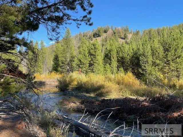 $269,000 | Tbd Tbd Napias Creek Road, Shoup, ID 83469