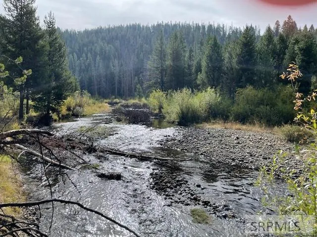 $269,000 | Tbd Tbd Napias Creek Road, Shoup, ID 83469