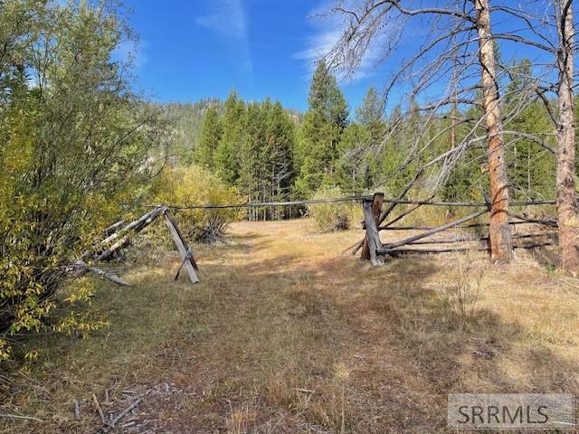 Tbd Tbd Napias Creek Road Shoup, ID 83469 - Photo 22 of 28