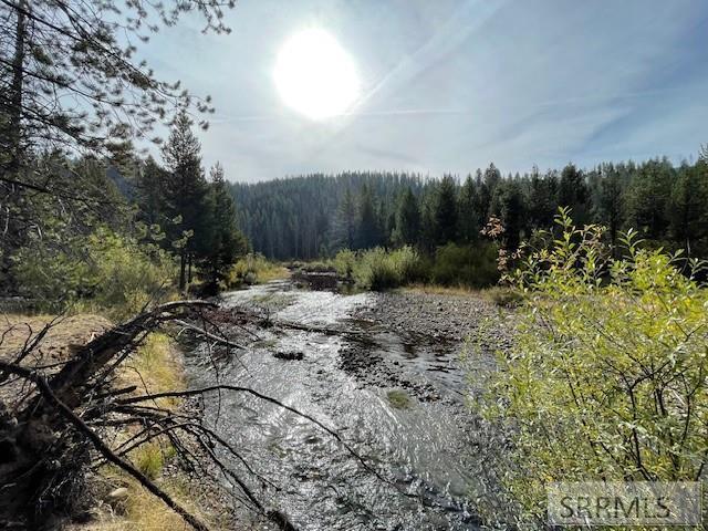 Tbd Tbd Napias Creek Road Shoup, ID 83469 - Photo 24 of 28