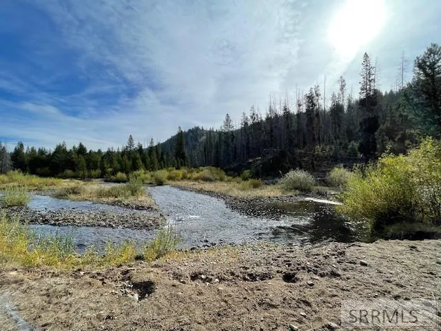 $269,000 | Tbd Tbd Napias Creek Road, Shoup, ID 83469