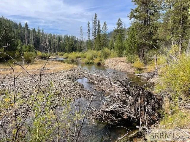 $269,000 | Tbd Tbd Napias Creek Road, Shoup, ID 83469