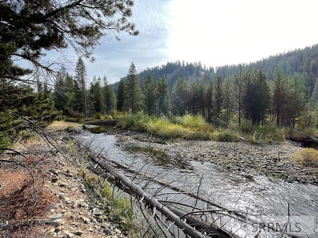 Tbd Tbd Napias Creek Road Shoup, ID 83469 - Photo 27 of 28