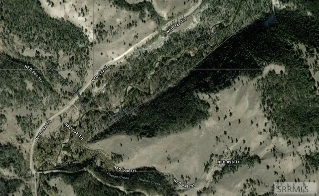 $269,000 | Tbd Tbd Napias Creek Road, Shoup, ID 83469