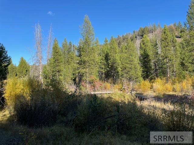 Tbd Tbd Napias Creek Road Shoup, ID 83469 - Photo 3 of 28