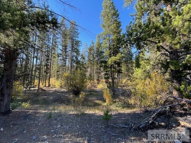$269,000 | Tbd Tbd Napias Creek Road, Shoup, ID 83469