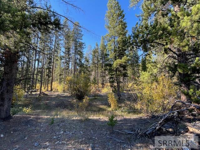 Tbd Tbd Napias Creek Road Shoup, ID 83469 - Photo 4 of 28
