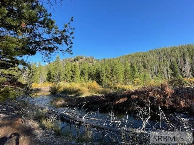 $269,000 | Tbd Tbd Napias Creek Road, Shoup, ID 83469