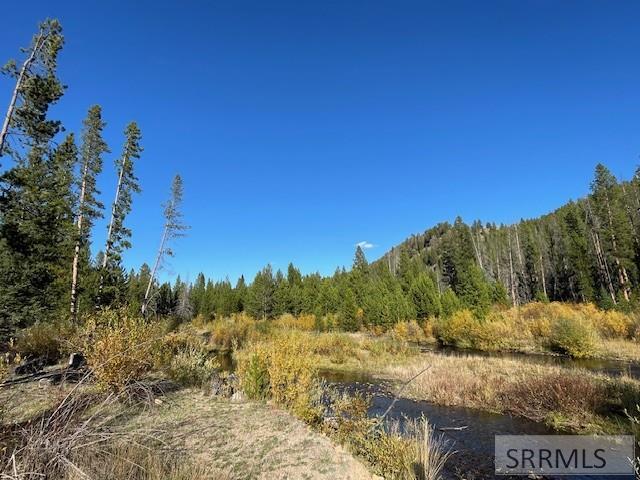 Tbd Tbd Napias Creek Road Shoup, ID 83469 - Photo 6 of 28