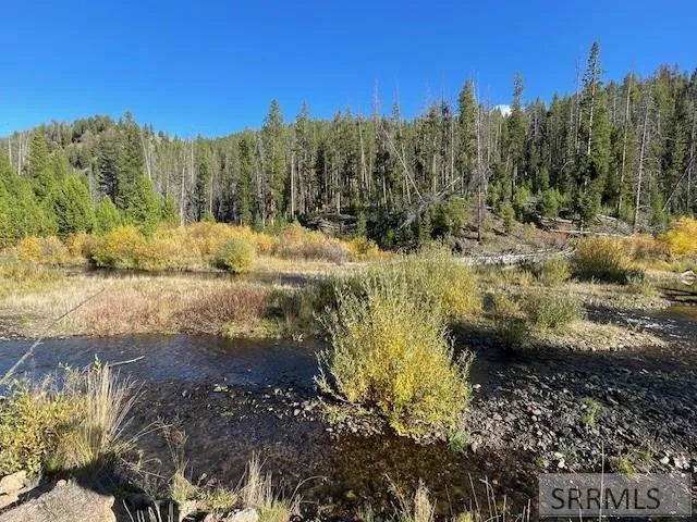 $269,000 | Tbd Tbd Napias Creek Road, Shoup, ID 83469