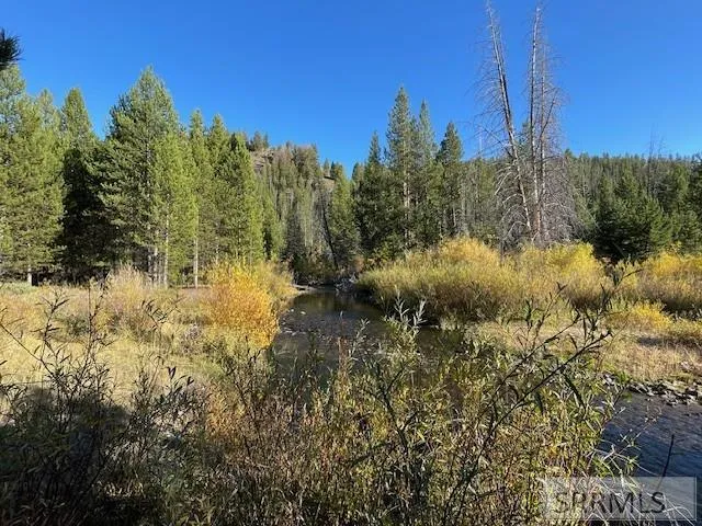 $269,000 | Tbd Tbd Napias Creek Road, Shoup, ID 83469