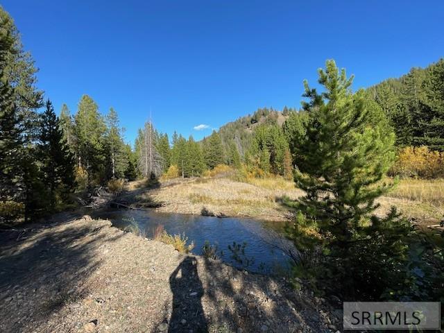 Tbd Tbd Napias Creek Road Shoup, ID 83469 - Photo 10 of 28