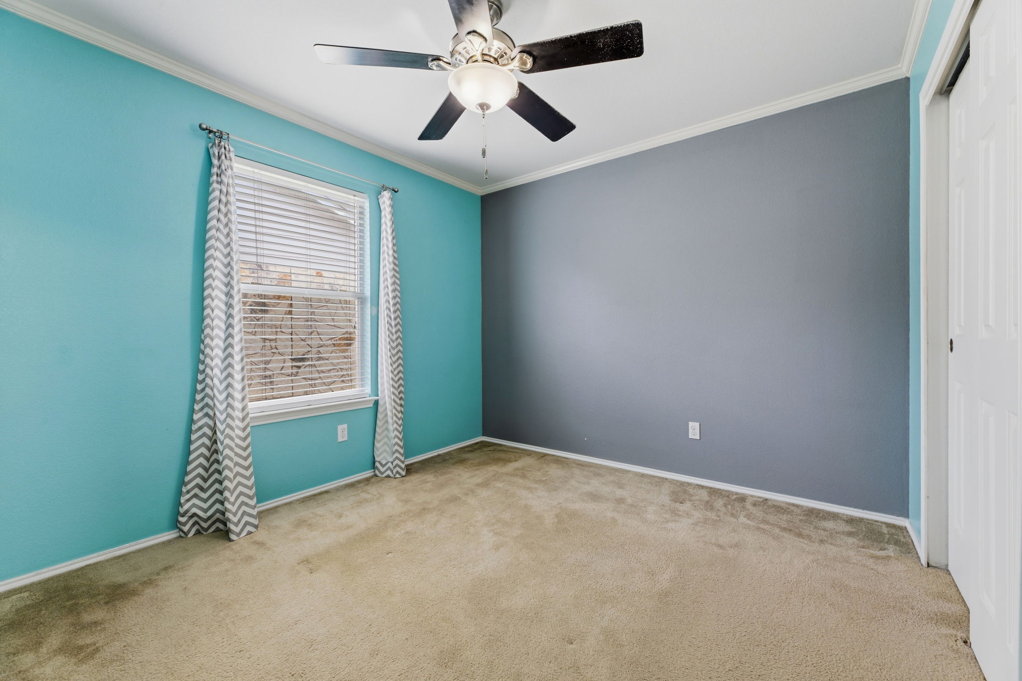 12601 Waynespur Lane Elgin, TX 78621 - Photo 17 of 38 A vibrant room featuring a ceiling fan, crown molding, and plush carpet flooring.