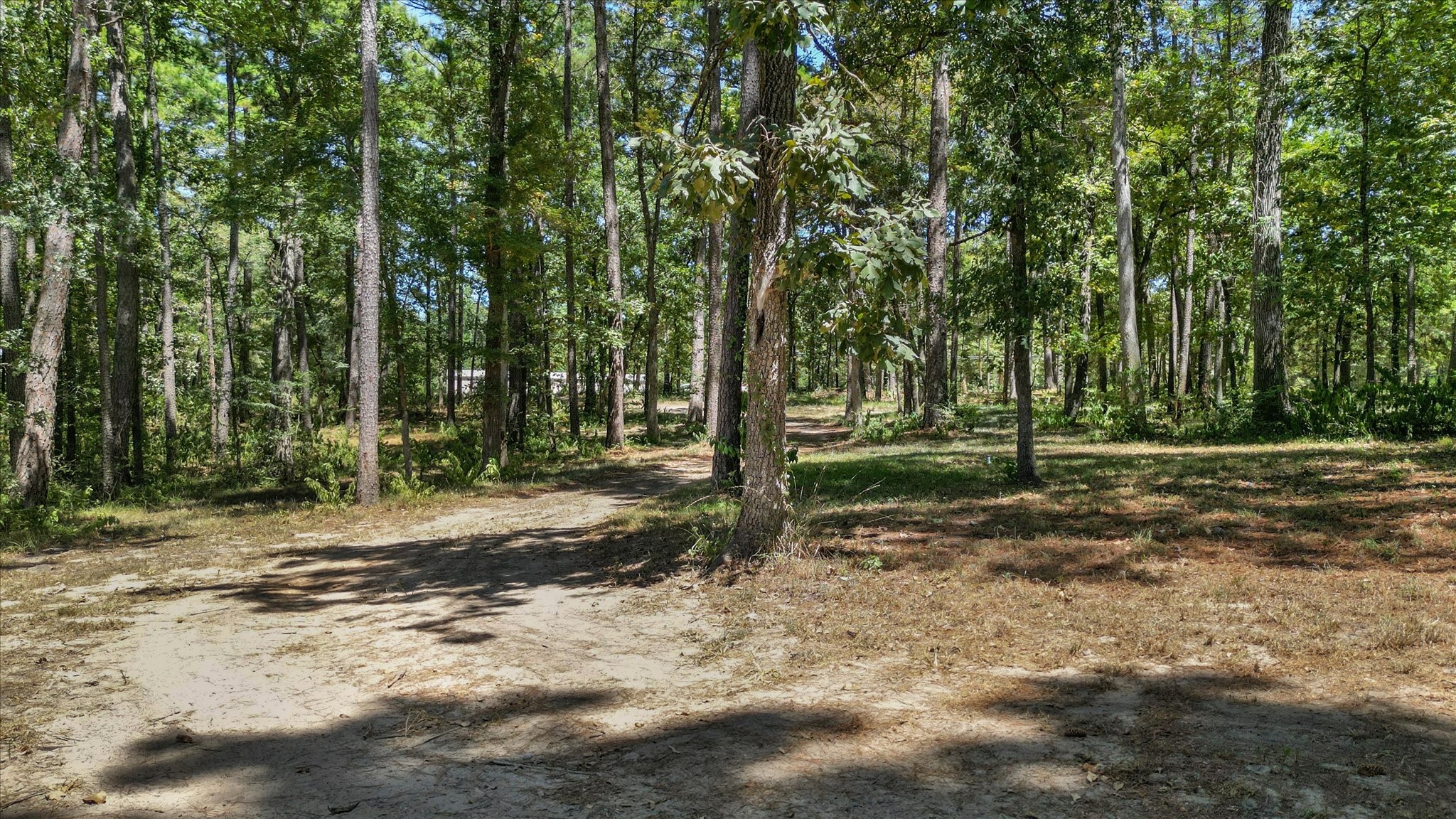 188 Camp Road Trinity, TX 75862 - Photo 1 of 37 Gallery Image 1