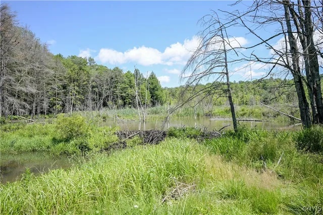 $499,900 | 573 Simpson Road, Russia, NY 13438