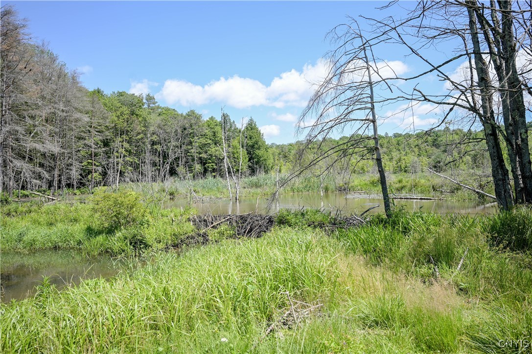 573 Simpson Road Russia, NY 13438 - Photo 29 of 44