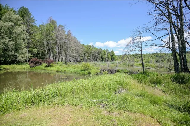 $499,900 | 573 Simpson Road, Russia, NY 13438