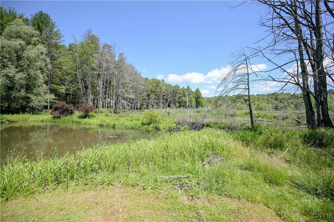 573 Simpson Road Russia, NY 13438 - Photo 31 of 44