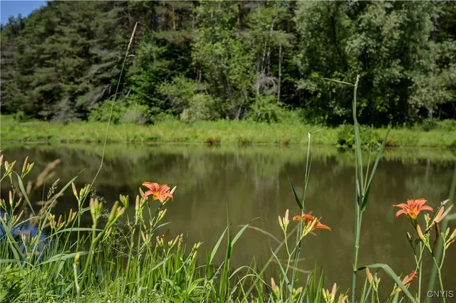 $499,900 | 573 Simpson Road, Russia, NY 13438