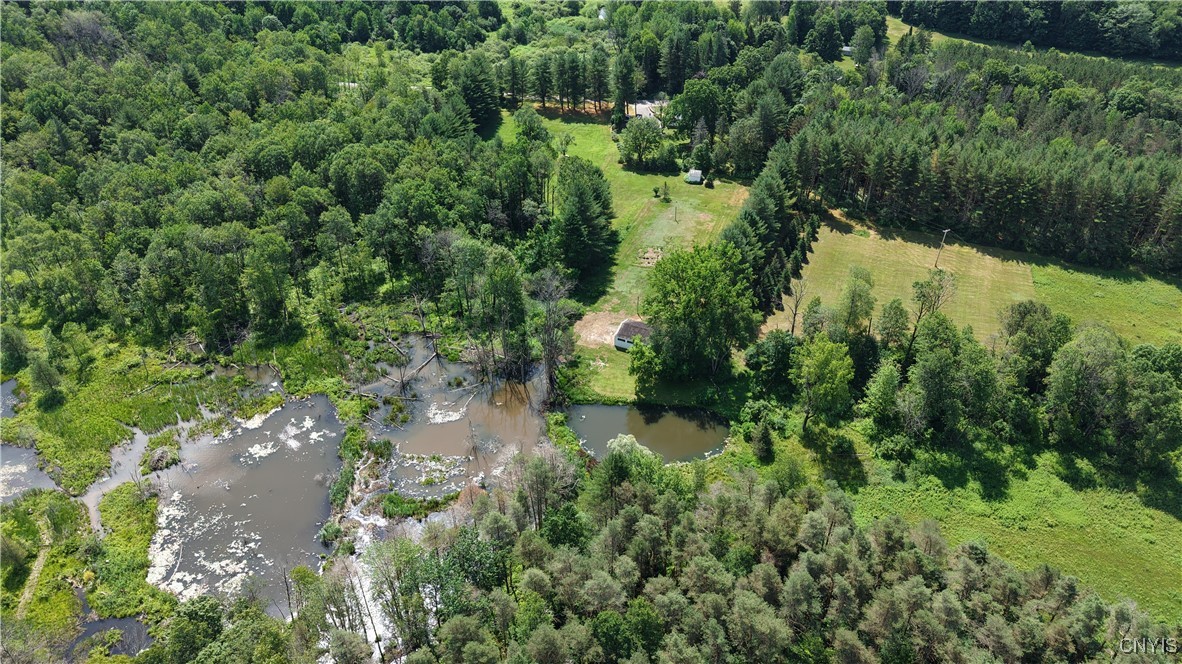 573 Simpson Road Russia, NY 13438 - Photo 37 of 44