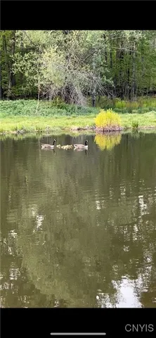 $499,900 | 573 Simpson Road, Russia, NY 13438