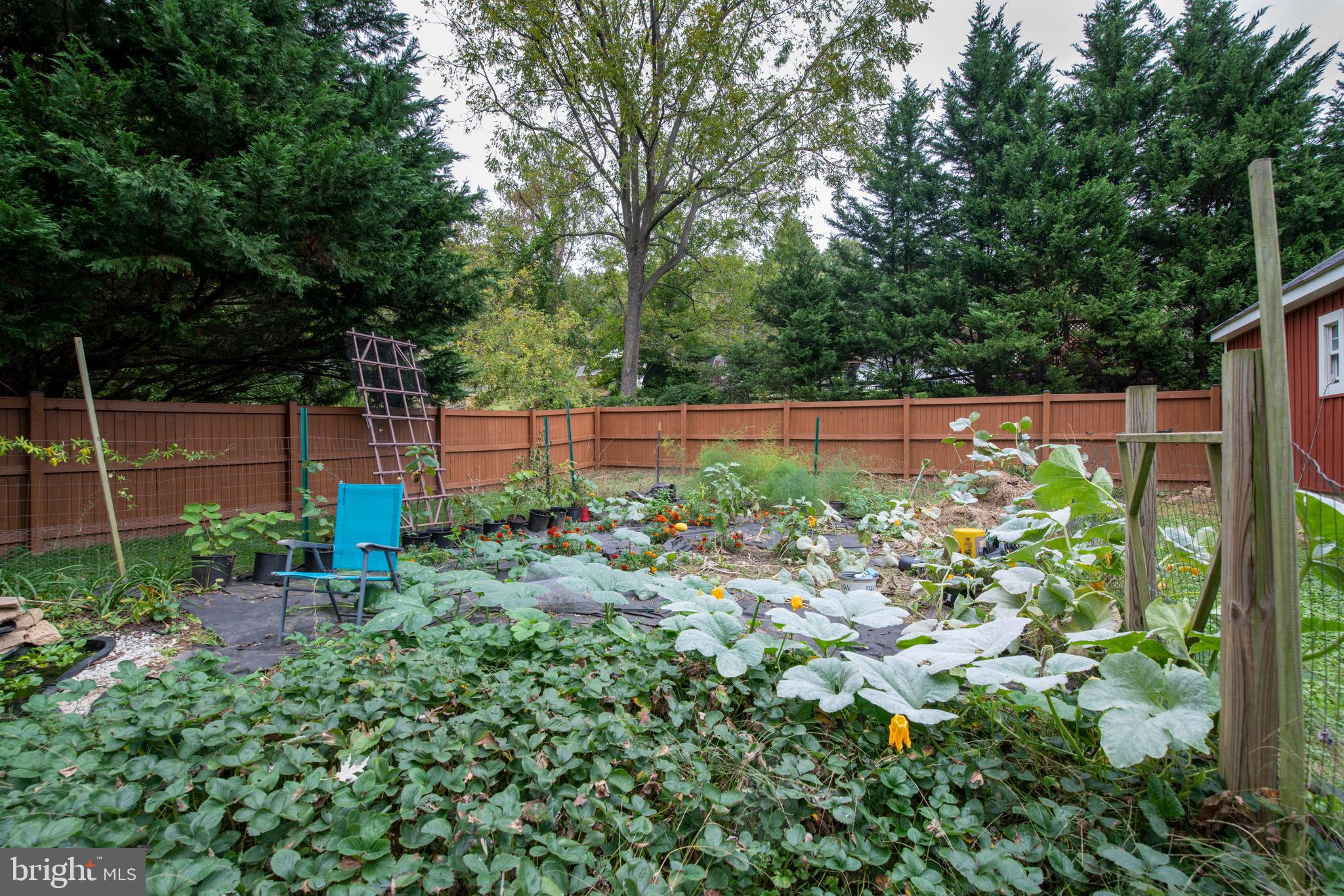 514 Warren Road Cockeysville, MD 21030 - Photo 47 of 55 Vegetable Garden