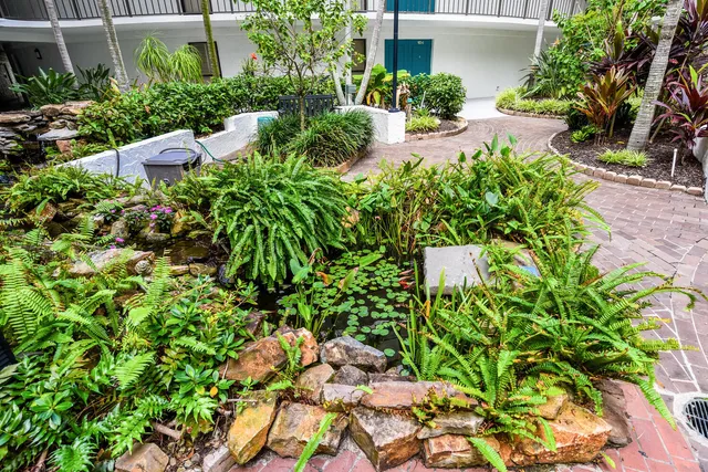 a view of a plant in a garden