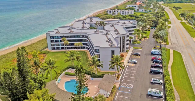 a view of a swimming pool with a garden