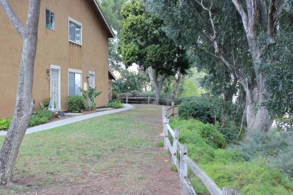 a view of a back yard