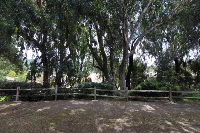 a view of outdoor space with lots of trees