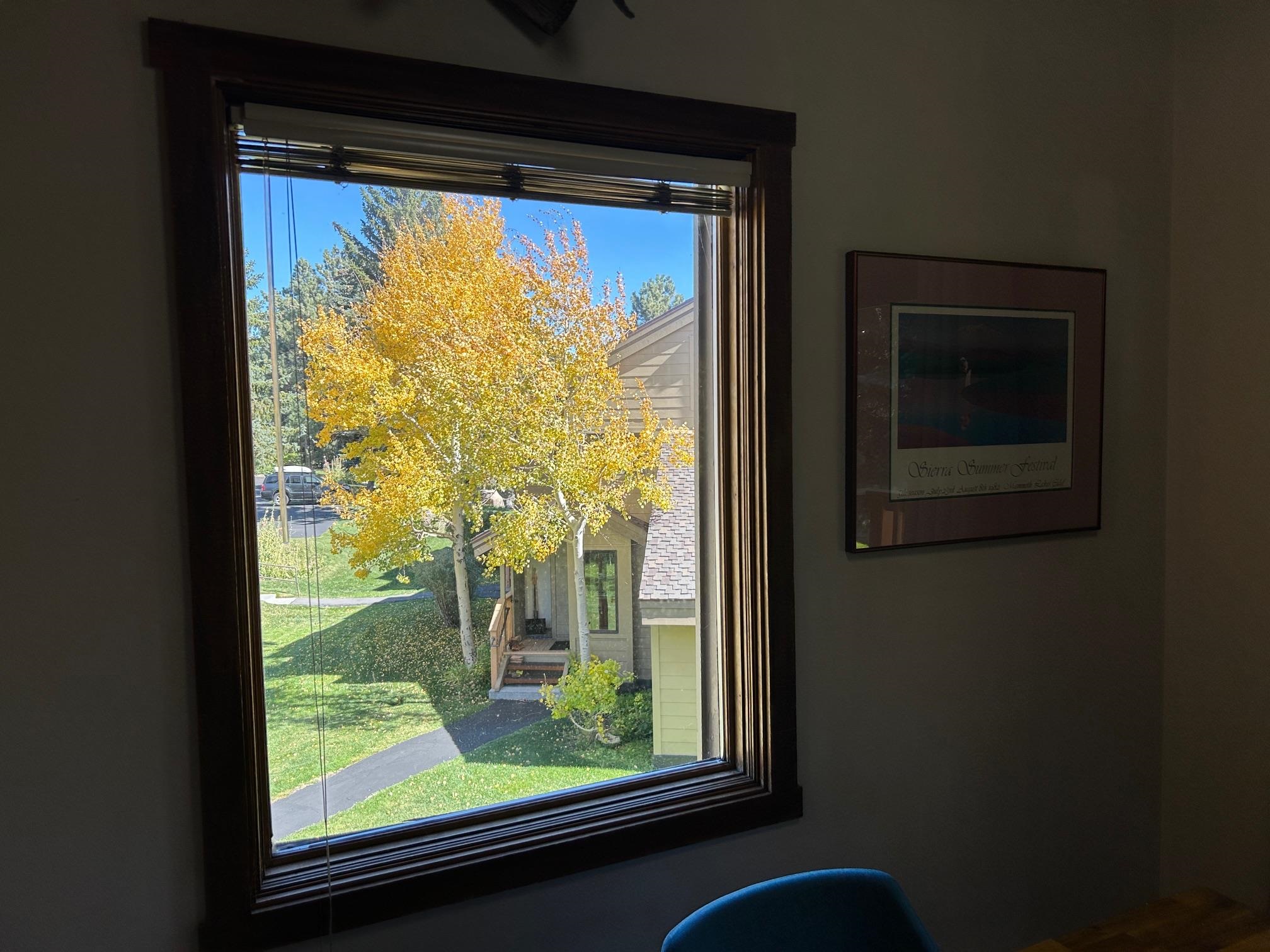 266 Snowcreek Road, Unit 266 Mammoth Lakes, CA 93546 - Photo 11 of 27 a view of a window