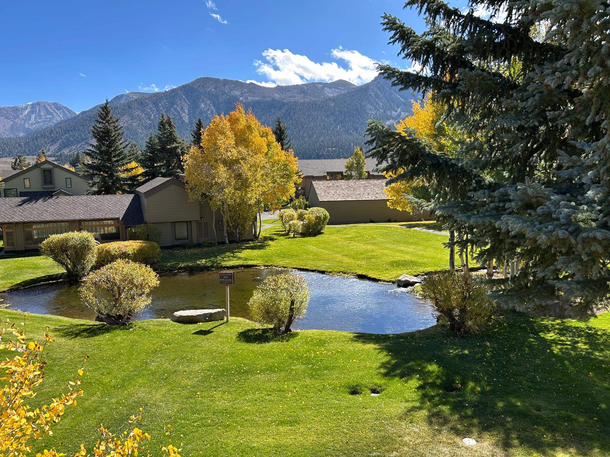 266 Snowcreek Road, Unit 266 Mammoth Lakes, CA 93546 - Photo 2 of 27 a view of a garden with an ocean