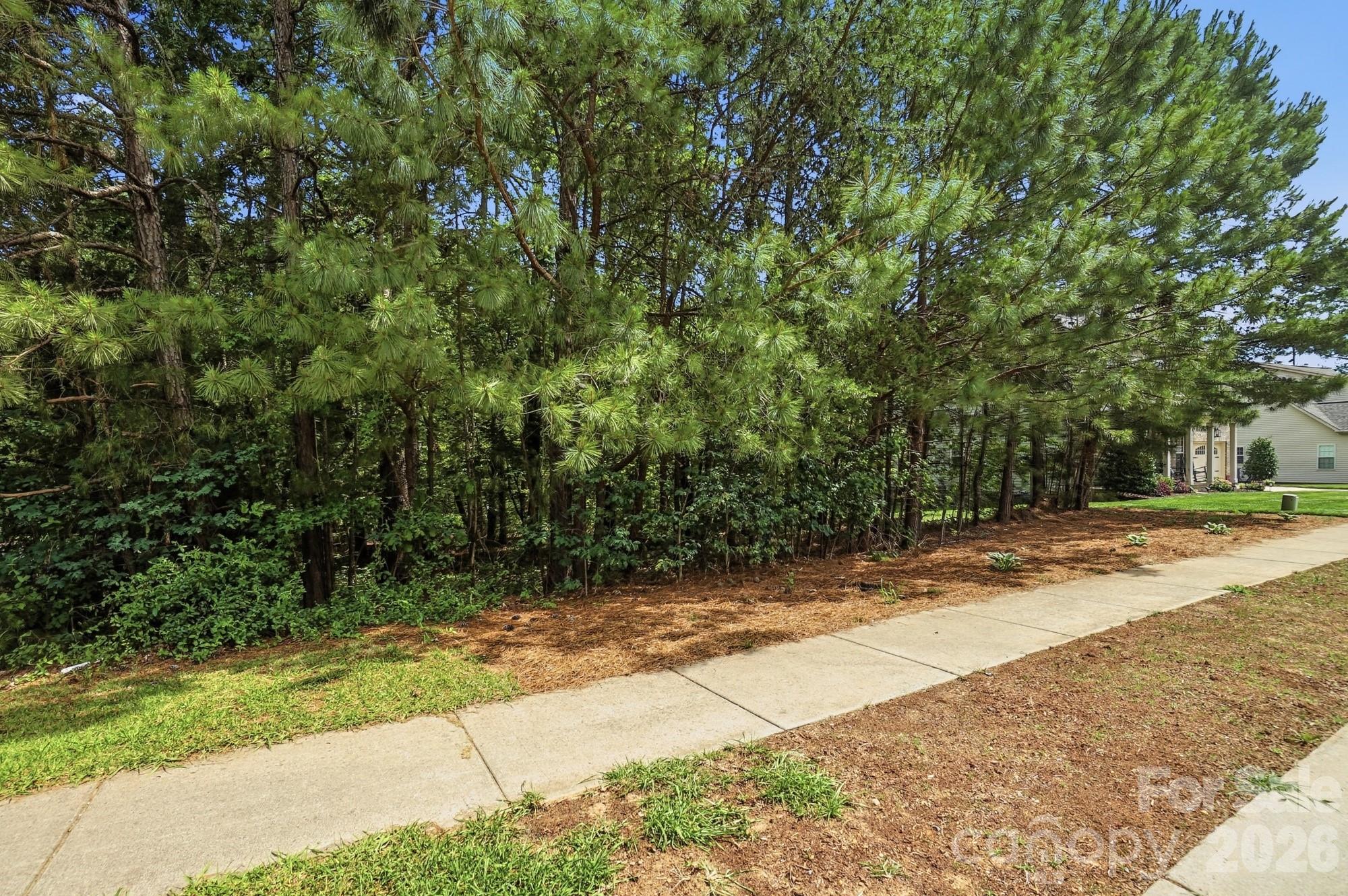 113 Delancy Street Locust, NC 28097 - Photo 2 of 5