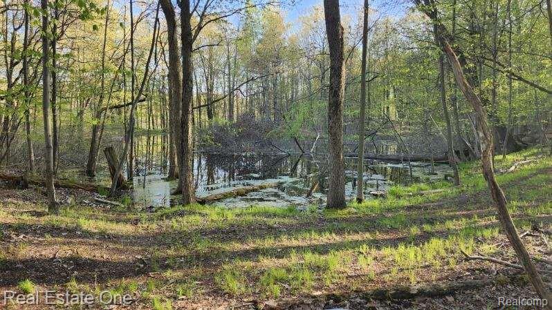 -curtis Rd Curtis Road Leonard, MI 48367 - Photo 4 of 11
