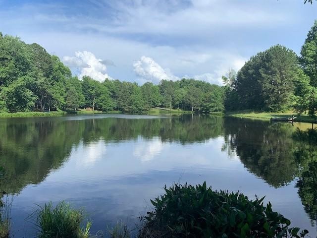 0 West Lake Road Ringgold, GA 30736 - Photo 1 of 8 Gallery Image 1