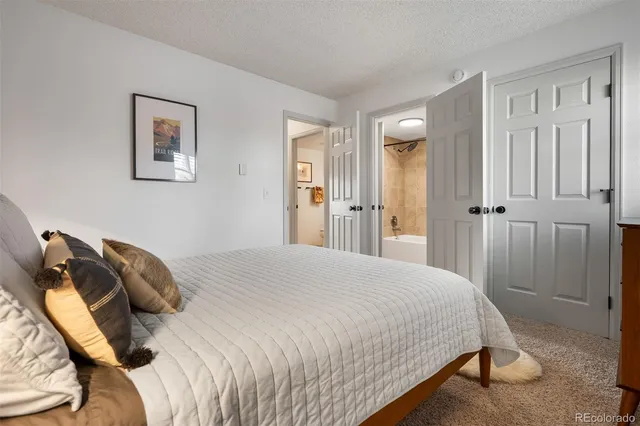 a bedroom with a bed and closet