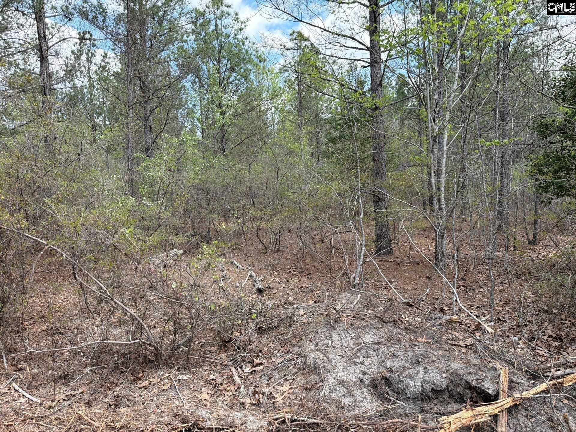 4 Mt Calvary Rd Ridge Spring Ridge Spring, SC 29129 - Photo 13 of 40