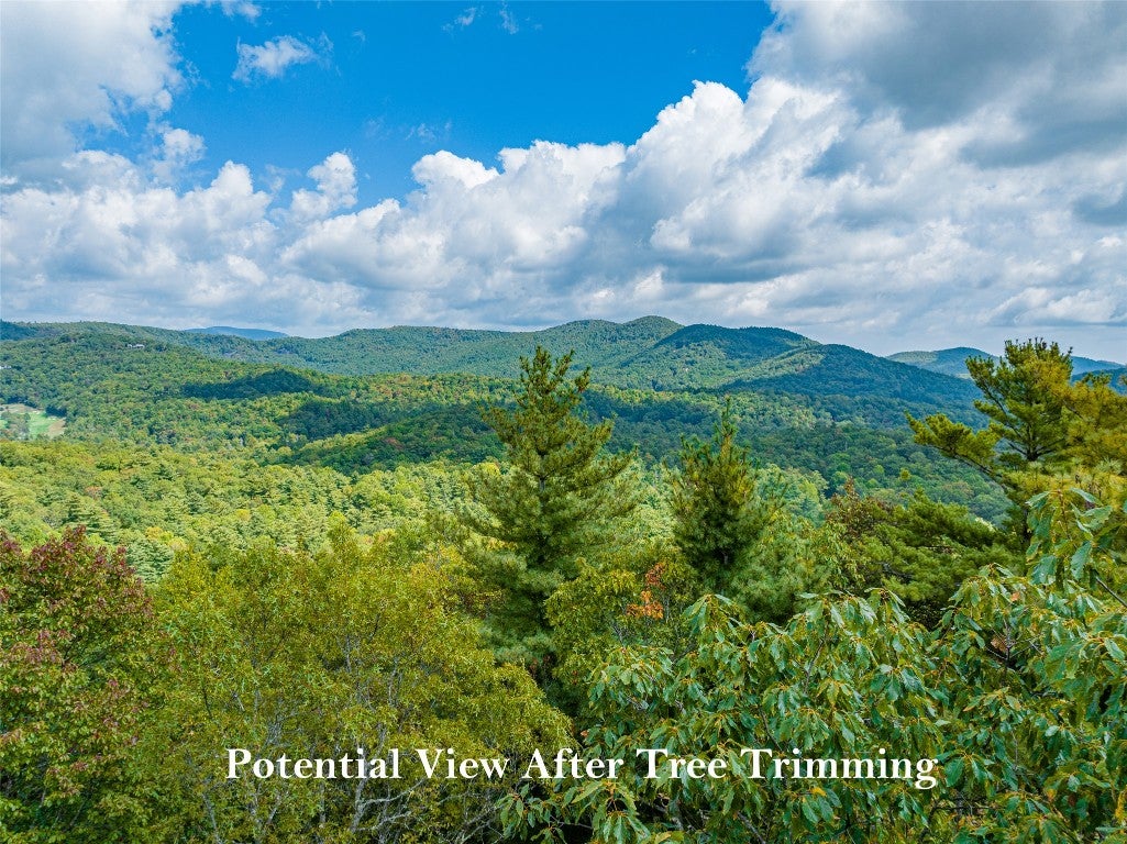 Lot 21 Southeast Ridge Road Cashiers, NC 28717 - Photo 5 of 10 Gallery Image 5