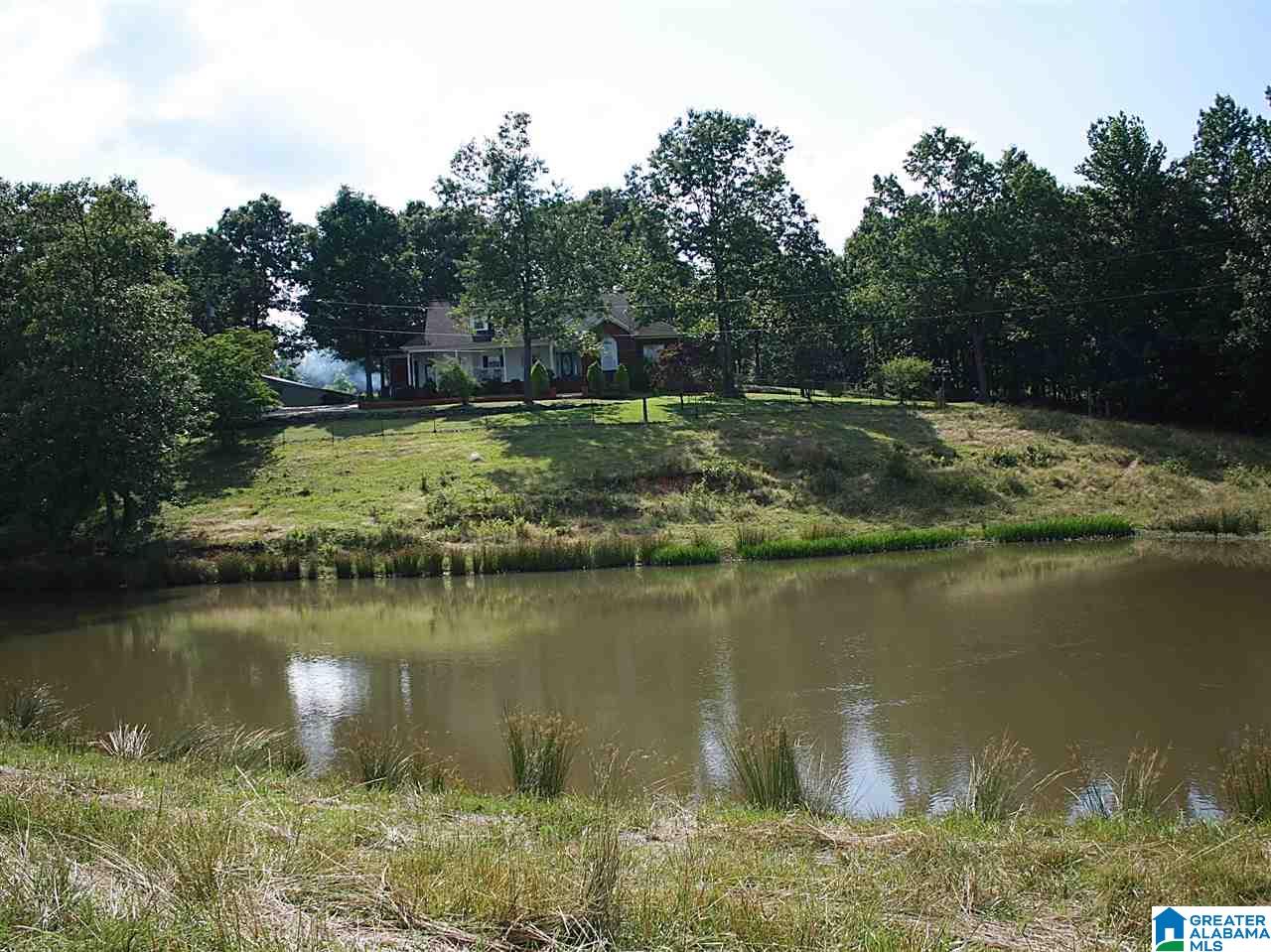 919 Gip Yates Road Blountsville, AL 35031 - Photo 7 of 49