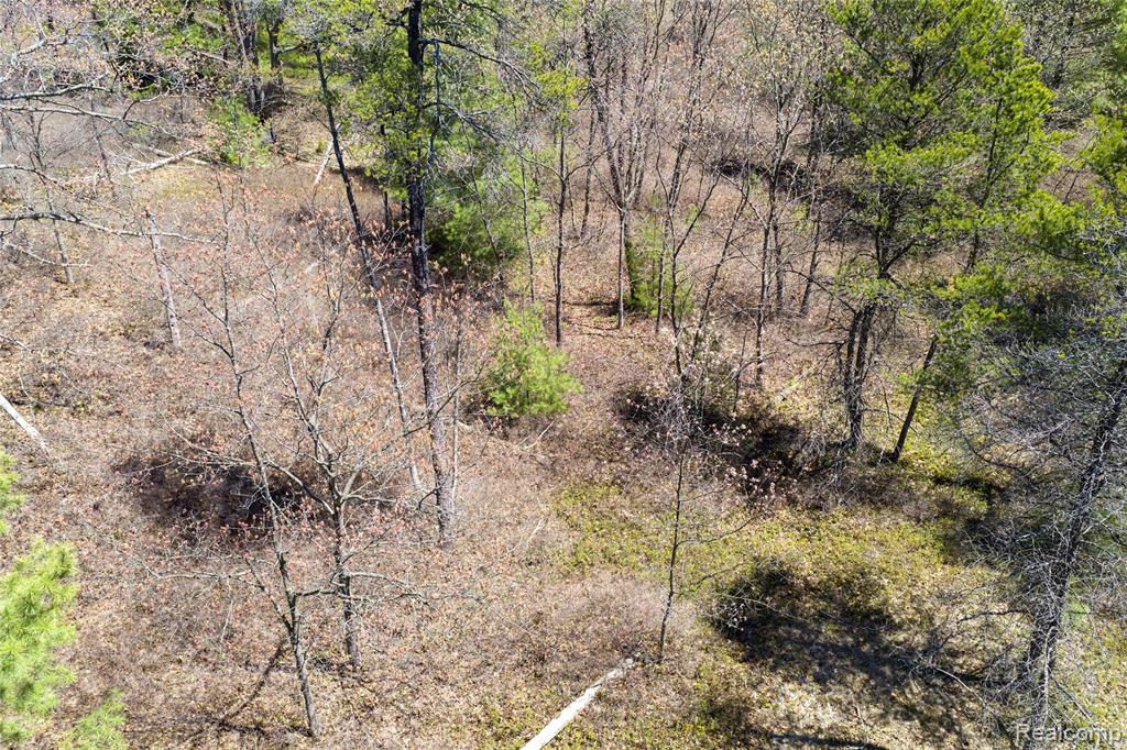0 Scott Road East Tawas, MI 48730 - Photo 10 of 17