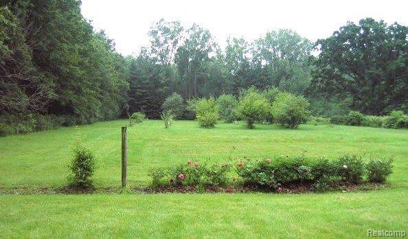 28017 Grix Road New Boston, MI 48164 - Photo 3 of 5 IMG_0323