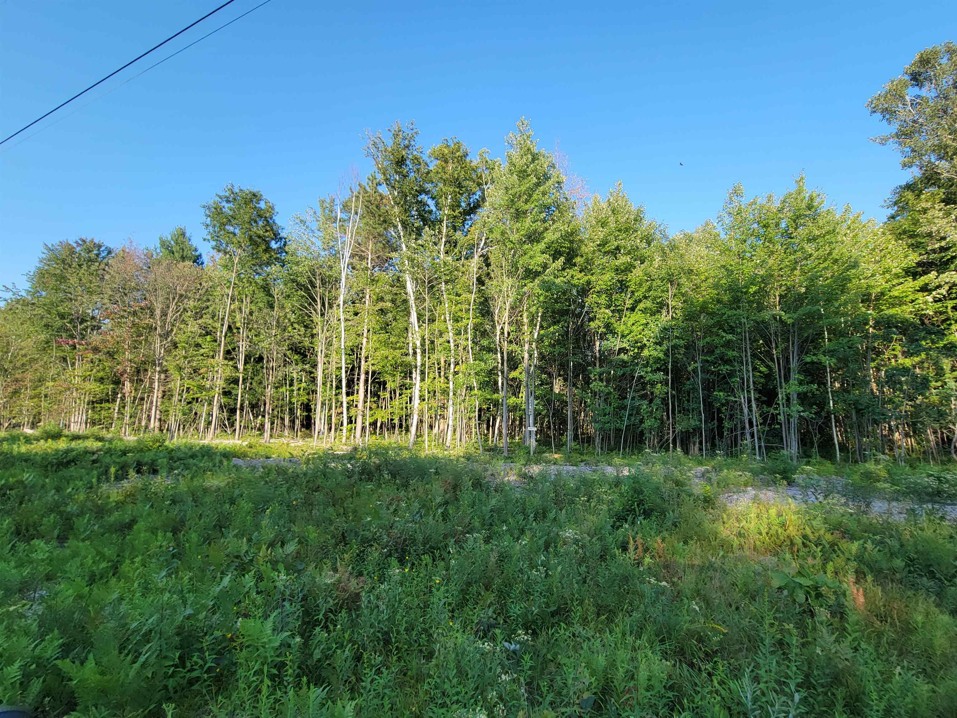 812 North Coleman Road Shepherd, MI 48883 - Photo 1 of 16