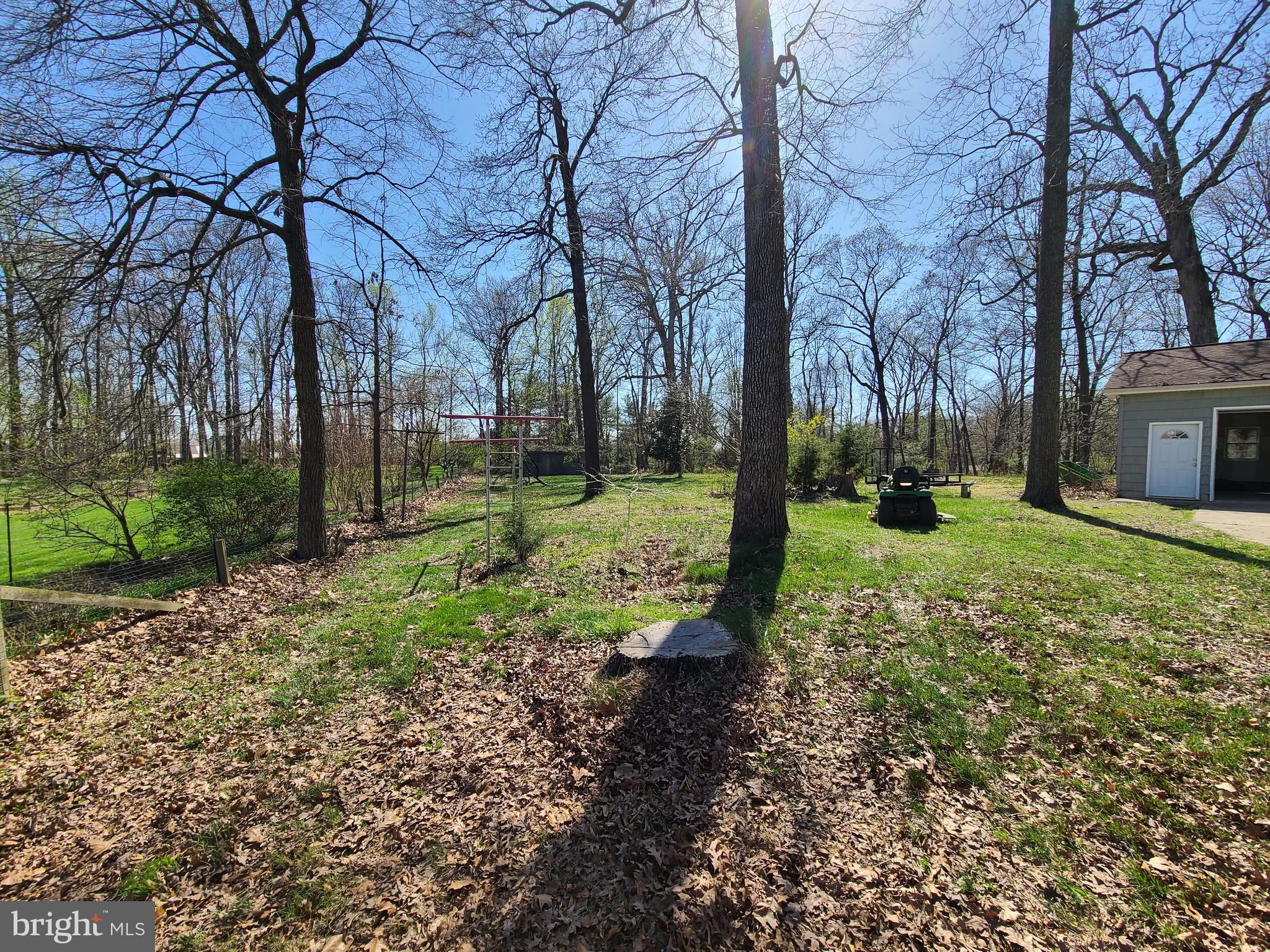 12357 Scaggsville Road Fulton, MD 20759 - Photo 6 of 9 a view of a tree in a yard