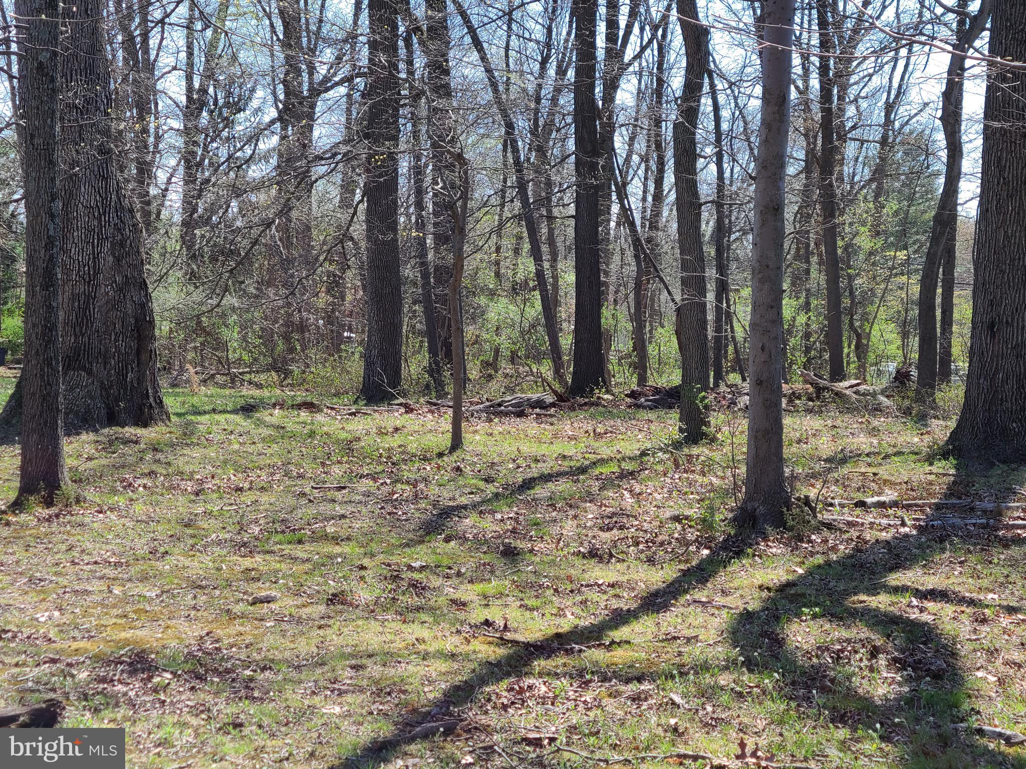 12357 Scaggsville Road Fulton, MD 20759 - Photo 7 of 9 a backyard of a house with lots of green space