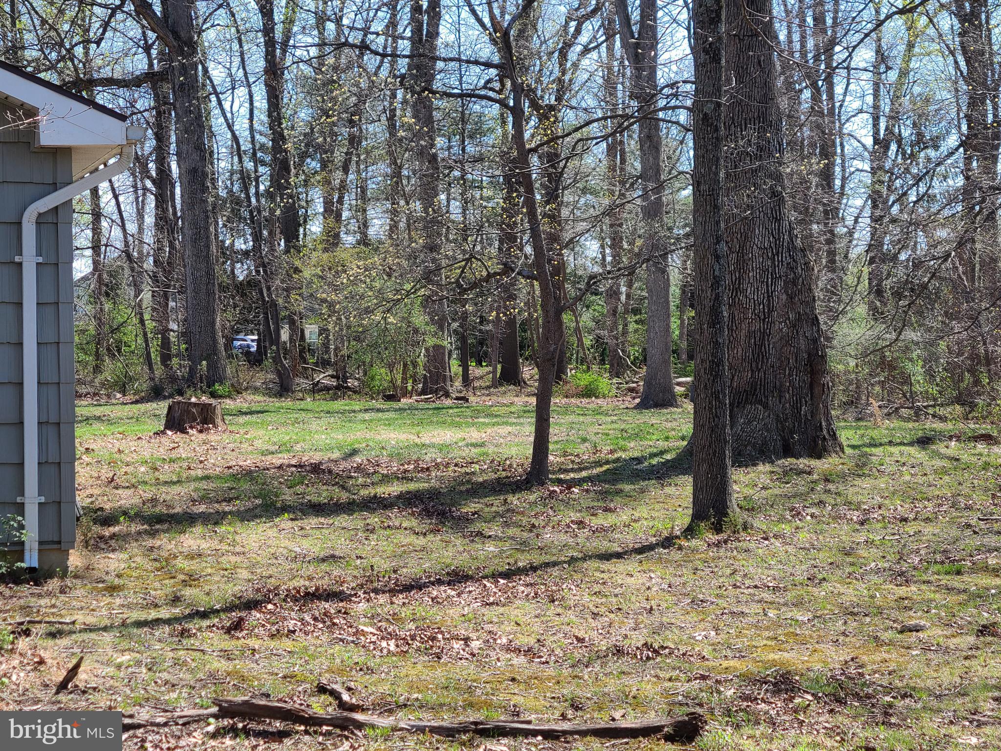 12357 Scaggsville Road Fulton, MD 20759 - Photo 9 of 9 a view of a yard with a tree
